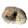 Quartz Geode opened Morocco approx. 9x6.5cm half Geode