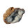 Quartz Geode opened Morocco approx. 7x4.5cm half Geode