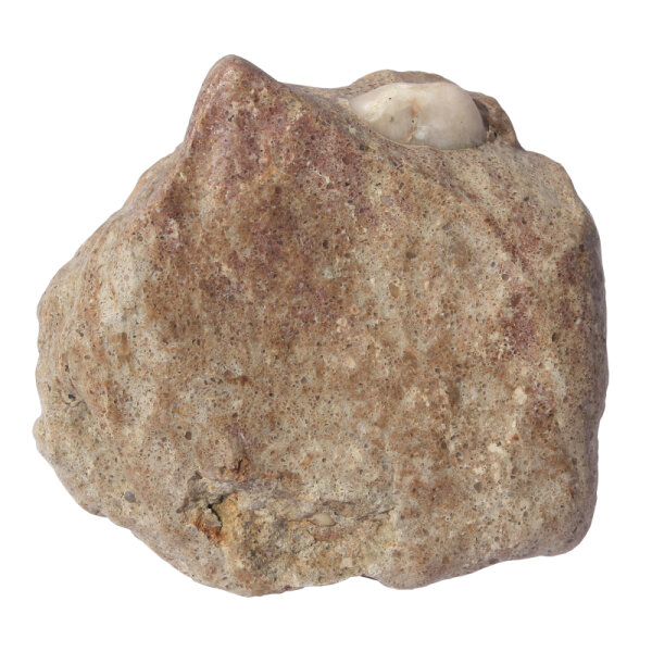 Tertiary Quartzite from Lower Lusatia Germany approx. 7x6.5cm