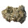 Pyrit Schwefelkies mit Quarz Bulgarien ca. 5x4cm