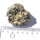 Pyrit Schwefelkies mit Quarz Bulgarien ca. 5x4cm
