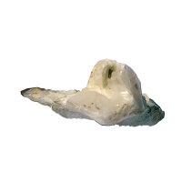 Calcit-Kristall Bulgarien ca. 6x6cm