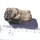 Galenit Bleiglanz mit Pyrit Bulgarien ca. 6,5x3cm