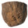 Versteinertes Holz Dadoxylon Niederlausitz polierter Querschnitt ca. 4x3cm