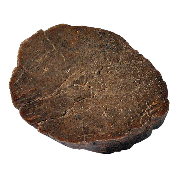 Petrified Wood Dadoxylon Germany polished cross section approx. 4x3cm