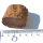 Petrified Wood Dadoxylon Germany polished cross section approx. 4x3cm