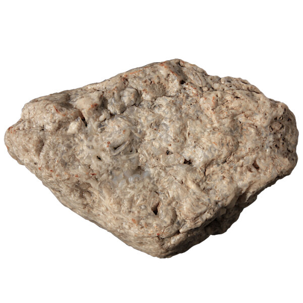 Fossil Conglomerate Bryozoa in Chalcedony Germany approx. 7.5x5cm