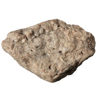 Fossil Conglomerate Bryozoa in Chalcedony Germany approx. 7.5x5cm