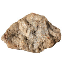 Fossil Conglomerate Bryozoa in Chalcedony Germany approx. 7.5x5cm