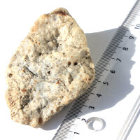 Fossil Conglomerate Bryozoa in Chalcedony Germany approx. 7.5x5cm