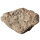 Fossil Conglomerate Bryozoa in Chalcedony Germany approx. 7.5x5cm