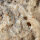 Fossil Conglomerate Bryozoa in Chalcedony Germany approx. 7.5x5cm