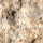 Fossil Conglomerate Bryozoa in Chalcedony Germany approx. 7.5x5cm