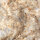 Fossil Conglomerate Bryozoa in Chalcedony Germany approx. 7.5x5cm